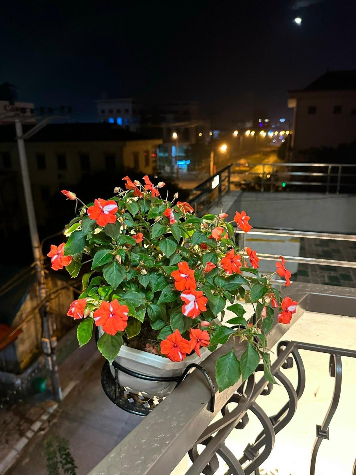 Dolce Mia Home Νιν Μπιν Εξωτερικό φωτογραφία